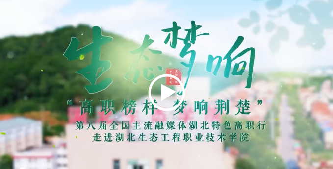 生态梦响 | 做好“山”文章 挖掘“林”潜力（视频）
